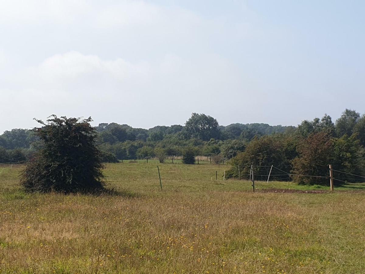 Open Acres Accommodation And Airport Parking Backwell Exterior photo